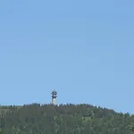 מלון Hirschen Brandenberg Hochschwarzwald Feldberg