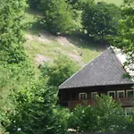Hirschen Brandenberg Hochschwarzwald Feldberg