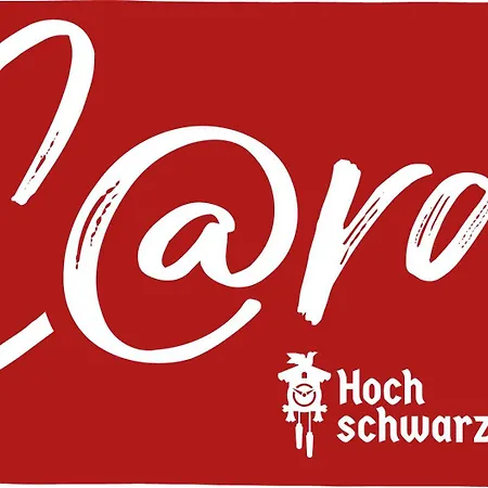 Hirschen Brandenberg Hochschwarzwald Feldberg 3* Todtnau