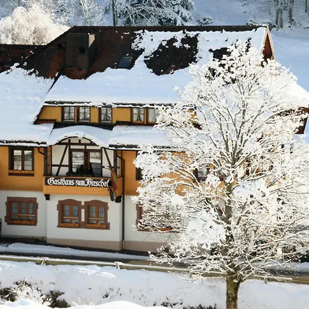 Hirschen Im Hochschwarzwald Nahe Feldberg