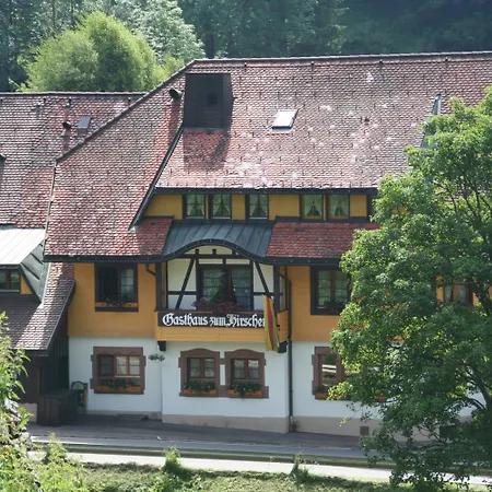 Hirschen Im Hochschwarzwald Nahe Feldberg