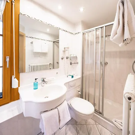 Hirschen Brandenberg Hochschwarzwald Feldberg 3*