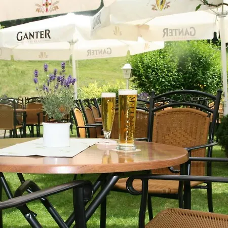 Hirschen Im Hochschwarzwald Nahe Feldberg Hotel