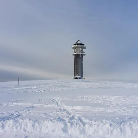 Hirschen Im Hochschwarzwald Nahe Feldberg Todtnau