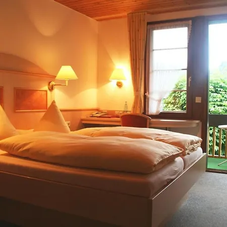 Hirschen Im Hochschwarzwald Nahe Feldberg Hotel Todtnau