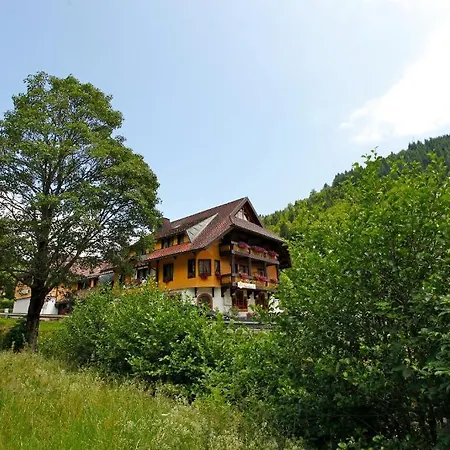Hirschen Im Hochschwarzwald Nahe Feldberg Hotel